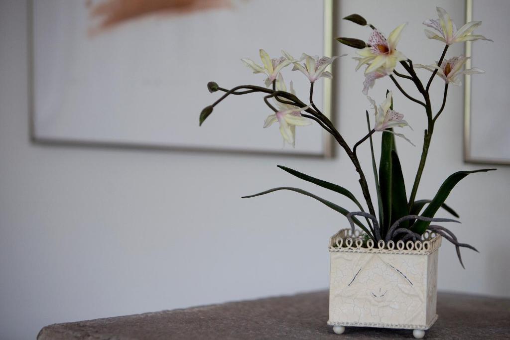 Tucking Mill View- Self Catering Appartement Bath Buitenkant foto